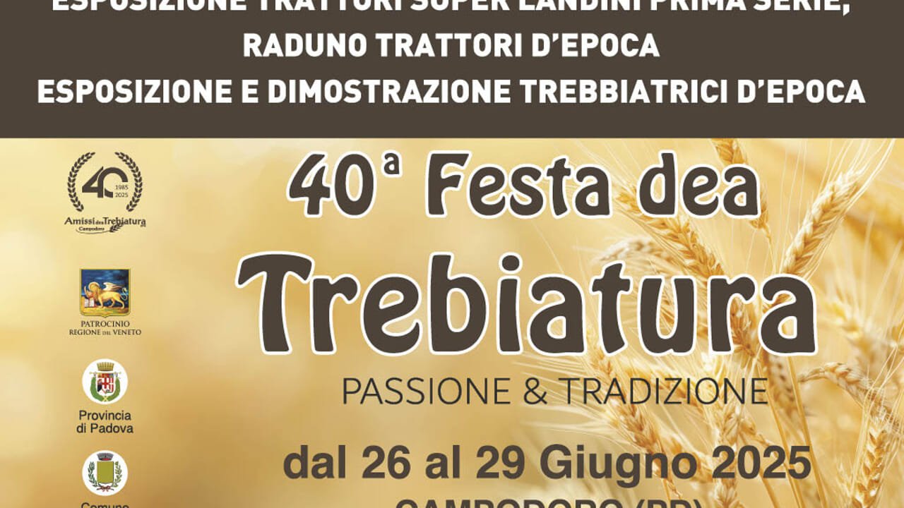 Locandina di Festa de a Trebiatura