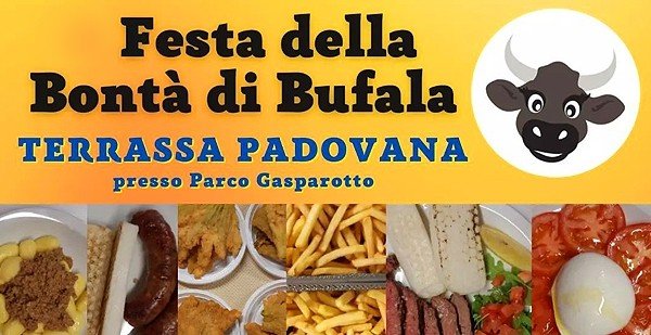 Manifesto di Sagra di Terrassa Padovana