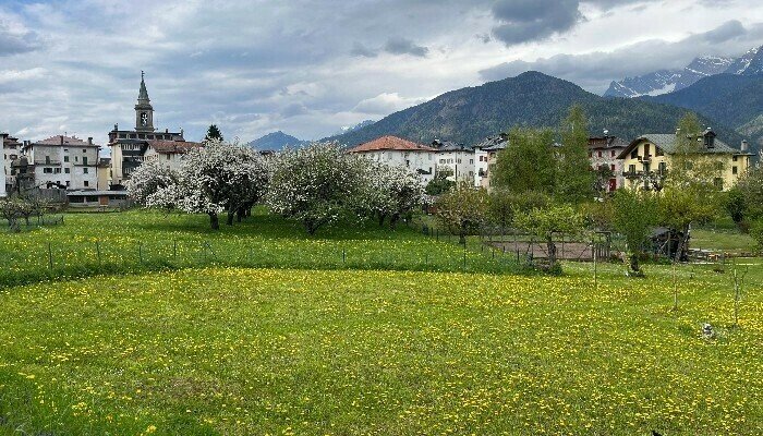Manifesto di Fiera dei Santi Ermagora e Fortunato